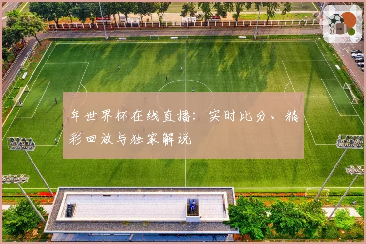 年世界杯在线直播:实时比分、精彩回放与独家解说