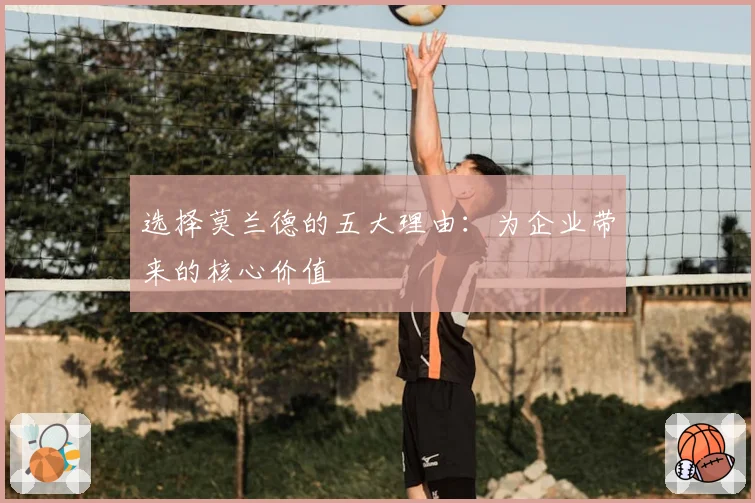 选择莫兰德的五大理由:为企业带来的核心价值
