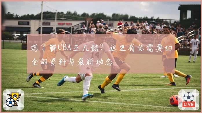 想了解CBA王凡懿?这里有你需要的全部资料与最新动态