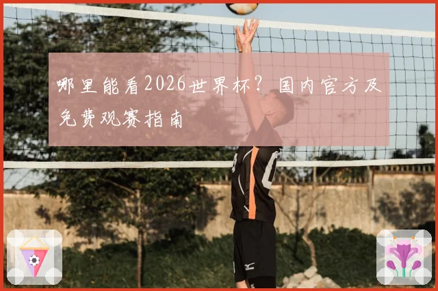 哪里能看2026世界杯？国内官方及免费观赛指南