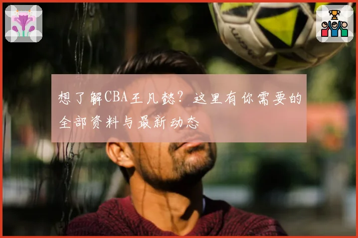 想了解CBA王凡懿？这里有你需要的全部资料与最新动态