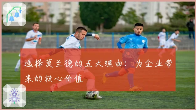 选择莫兰德的五大理由：为企业带来的核心价值