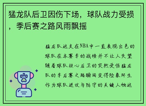 猛龙队后卫因伤下场，球队战力受损，季后赛之路风雨飘摇