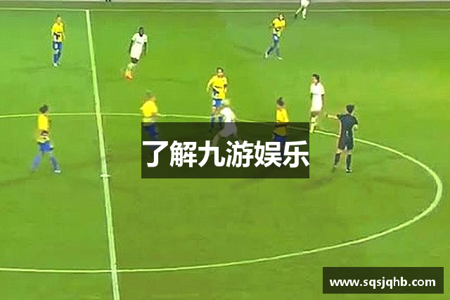 了解九游娱乐